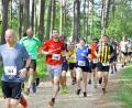 Bild: Ziegler, Hubert [ZG] (HUBERT.ZIEGLER@ONLINE.DE)
Alexander Kratzer (M 45) führt diese Läufergruppe in einer Waldpassage an. Er benötigte für die 8300 Meter 36:30 Min.Bild: Ziegler