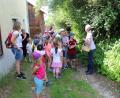 Bild: exb
Die Kinder waren ganz begeistert von der  Kräuterwanderung, die Monika Ermer rund um Altfalter organisiert hatte.