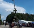 Bild: SJA
Die Kirwaburschen vom Verein „Tannengrün“ stellten am Freitag den Baum in Steinberg am See auf, gaben den Startschuss für die viertägige Kirchweih. Am Samstag nach dem Unwetter feierten die Steinberger im Zelt weiter.