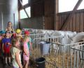 Bild: frd
Landwirt Robert Hummer führte die kleinen Besucher  und ihre Betreuerinnen Hildegard Kraus- Maier und Kristina Baumer auch in den Stall mit den Kälbern.