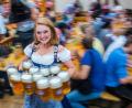 Bild: Marc Müller
Eine Kellnerin trägt beim Münchner Oktoberfest auf der Theresienwiese zehn Maß Bier zu einem Tisch. Foto: Marc Müller/Archiv