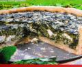Bild: hl
Meldenkuchen