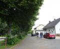 Bild: hm
Die Linden entlang des Kinderspielplatzes in der Ortsstraße „Stadtweiherwiesen“ bleiben stehen. Das beschloss der Bauausschuss.