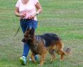 Bild: rdo
Schäferhund Darius mit Hundeführerin Petra Janner ist mit sechseinhalb Jahren nicht mehr im Leistungssport, sondern schon in “Altersteilzeit“.
