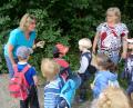 Bild: gi
Eine ganze Woche wanderte täglich die Mäusegruppe mit der Erzieherin Gabi Hagn und der Kinderpflegerin Michaela Dietz in den Kurpark. Sie lernen viele Schätze der Natur von den Kräuterexpertinnen Bettina Lehner und Maria Bayer-Schmidt (von links) kennen.