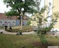 Bild: gi
Auch bei der Mariensäule an der Pfarrkirche haben die Mitarbeiter des Maschinenrings kleine Pflänzchen gesetzt.