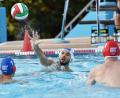 Bild: Schwarzmeier
Das Pokalfinale haben die Weidener Wasserballer gegen den SV Würzburg 05 mit 10:7 gewonnen (Bild). Jetzt soll am Wochenende der Bundesliga-Aufstieg klar gemacht werden.