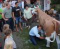 Bild: weu
Großen Spaß bereitete den Gästen der Melkwettbewerb des Elternbeirates gegen die Lehrer. Unter den kritischen Augen von Gerlinde Lohrer melkte Konrektor Dominik Bauer mit viel Einsatz.