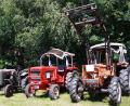 Bild: lk
Bulldogtreffen