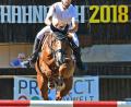 Bild: Hartl
Sven Fehnl vom Reit- und Fahrverein Hahnbach  auf Quinto.