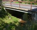 Bild: Rosner, Josef [JR] (ROSNER.JOSEF@T-ONLINE.DE)
In Eigenregie will die Gemeinde die Brücke über den Kornmühlbach bei Zirkenreuth sanieren. Die Maßnahmen, darunter die Erneuerung des Geländers, sollen noch heuer über die Bühne gehen.