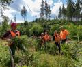 Bild: exb
Voller Einsatz für die Natur: Akberet Guesh und Diana Mheretad, beide aus Eritrea stellen gemeinsam mit Adelheid Rader und Petra Murr von der Franz-Oberthür-Schule in Würzburg einen Bachlauf am Ochsenkopf frei. Toni Eichermüller vom Forstbetrieb Fichtelberg leitet sie dabei an. (v.l.n.r.)