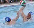 Bild: Alfred Schwarzmeier
Unter Dach und Fach haben die Weidener Wasserballer (rechts Jakob Ströll) ihren Aufstieg in die erste Bundesliga gebracht. Unter Dach und Fach seien auch die Schüler und ihr Schwimmunterricht, heißt es im Schulbeirat. Ob der Aufstieg der Sportler das ausgeklügelte Ersatzangebot stört?