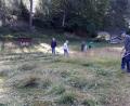 Bild: wro
Richtiges Mähen will gelernt sein. Wie man es richtig macht zeigte die "Steinwaldia" auf der Glasschleif-Wiese.