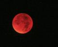 Bild: Fredrik von Erichsen/dpa
Eine totale Mondfinsternis (Blutmond) ist am 27. Juli am Nachthimmel zu sehen: Dabei durchläuft der Mond vollständig den Kernschatten der Erde und erscheint dabei in rotem Licht.