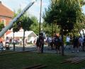 Bild: slh
Mit vereinten Kräften wurde der 24 Meter lange und schön geschmückte Kirwabaum am Weiherner Dorfplatz aufgestellt.