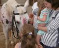 Bild: mma
Die kleinen Besucher beim Kinderfest des Reit-und Fahrvereins haben keine Angst vor großen Tieren.