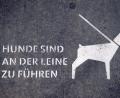 Bild: Daniel Naupold/dpa
Auf der Liegewiese des Weiherhammerer Baggerweihers gelten seit kurzem neue Spielregeln: Hunde sind an der Leine zu führen.