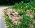 Bild: jml
Die betroffenen Landwirte haben, so gut es geht, die ausgeschwemmte Erde von der Straße geholt und sie zum provisorischen Schutzwall angehäuft.