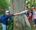 Bild: u
Hoch interessant ist für die Kinder der Walderlebnistag mit Försterin Renate Feuchtmeyer am Kalvarienberg. Erstaunt stellen sie fest, dass es vier Kinder braucht, um den Stamm einer groß gewachsenen Linde zu umfassen.