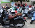 Bild: gag
Wespen-(Vespa-)schwarm in Schwarzenbach