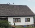 Bild: gz
Die drei Jungstörche beobachen vom Hausdach aus die Tätigkeiten der Gartenbesitzer.