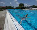 Bild: exb
500 Schüler der Naabtal-Realschule sprangen in Perschen ins Wasser und zogen bis zu 100 Bahnen im Olympiabecken.