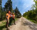 Bild: Martin Hertel
Peter Schöffel, Leiter des Forstreviers Weidenberg, bespricht mit Harvesterfahrer Anton Pscherer und Forstwirtschaftsmeister Josef Scherm vom Forstbetrieb Fichtelberg die Holzernte entlang der Loipe an der Sprungschanze Warmensteinach.