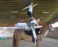 Bild: ubb
Atemberaubend: Luisa kniet am Pferd, Annika stellt sich auf ihren Rücken. Und das alles auf dem Rücken von Gandalf, der immerhin selbst eine Rückenhöhe von 1,73 Meter aufweist.