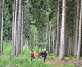Bild: plym
Rinnl- Wanderung mit Wanderführer Michael Rückl zum Ringelfelsen.