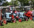 Bild: lk
Die vielen Bulldogs, vom Oldtimer bis zum neuesten Traktor, die von den vielen Besuchern bestaunt wurden.