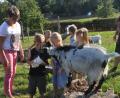 Bild: dob
Zum zweiten Mal in Folge wurde Kinderpflegerin Julia Dobmayer aus der Kindertagesstätte Don Bosco mit den Kindern aus Natur- und Umwelt mit einem Zertifikat der "ÖkoKids" ausgezeichnet. Jetzt stand der Besuch von Kamerunschafen und Zwergziegen bei Familie Sommer an. Die Mädchen und Buben hatten ihre helle Freude daran.