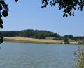 Bild: plym
Momentan ist Baden im Rothenbürger Weiher möglich. Aber Blaualgen im Wasser bereiten immer wieder Probleme.