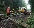 Bild: wro
Mit Motorsägen machen sich die geschulten Feuerwehrleute an die Arbeit, um das Hindernis wegzuschaffen.