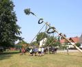 Bild: egl
Mit Muskelkraft wurde der Baum in die Senkrechte gebracht.