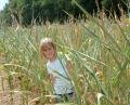 Bild: Gabi Schönberger
Sophie Hösl (9) ist Stammgast im Maislabyrinth in Altenstadt. Dieses Jahr kann sie es jedoch nicht allzu ausgiebig genießen.