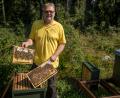 Bild: exb
Stefan Traßl, Vorsitzender des Imkervereins Hohes Fichtelgebirge, an seinen Bienenstöcken im Staatswald bei Neuhaus