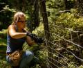 Bild: exb
Eine Teilnehmerin der Bergwaldprojektwoche am Forstbetrieb Fichtelberg baut einen entbehrlichen Forstzaun ab.