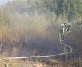 Bild: jma
Feuerwehr Eschenbach im Einsatz in einem Industriegebiet.