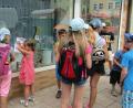 Bild: sck
Das Tenorhorn entdecken die Kinder im Schaufenster bei Sanitärinstallation Baumann