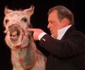 Bild: mte
Ein echter Hingucker ist der Esel des „Circus Carelli“ wohl. Und er ist nicht der einzige, der für tierisch Stimmung im Zirkuszelt sorgen will.