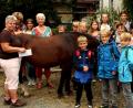 Bild: R. Kreuzer
Ein Besuch bei der Reitsportgemeinschaft Moosbürg steht für die Kinder beim Ferienprogramm der Arbeiterwohlfahrt auf dem Programm.