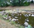 Bild: Kunz
Waldnaab und Flutkanal brauchen unbedingt Regen.