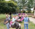 Bild: fvo
Abenteuer Bauernhof ist im Rahmen des Ferienprogramms des CSU-Ortsverbands angesagt.