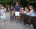 Bild: Kunz
Die Ponys waren sehr beliebt bei den Kindern.
