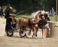 Bild: mde
Karl Kastner lotst seine Haflinger geschickt mit der zweispannigen Kutsche durch den Parcours. Auch zu sehen auf dem Bild ist Vorsitzender Martin Kastner, der seinen Kameraden auf der Kutsche unterstützt.