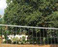 Bild: Köppl
Seit Dienstagnachmittag ist die Linde auf dem ehemaligen Spielplatz in der Bürgermeister-Fuhrmann-Straße "hinter Gittern". Der Bauhof hat das Gelände mit einem Bauzaun abgeriegelt. "Betreten verboten, Verletzungsgefahr" heißt es auf den angebrachten Schildern.