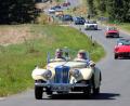 Bild: stg
Oldtimer wohin das Auge reicht - sie werden am kommenden Samstag das Bild in und rund um Kemnath prägen.