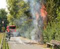 Bild: hcz
Ein Weidenbaum steht zwischen Stadtbad und Kepler-Sportplatz in Flammen.