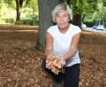 Bild: ads
Helga Verron zeigt sich besorgt angesichts der extremen Trockenheit. Auch die Linden auf dem Mariahilfberg lassen schon erschreckend viel Laub fallen. Sie hofft, dass sich die Bäume nach dieser langen Dürrezeit im Winter wieder erholen und nächstes Jahr wieder austreiben.